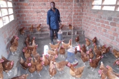 poultry-loan